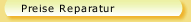 Preise Reparatur